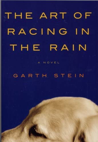 The Art of Racing in the Rain