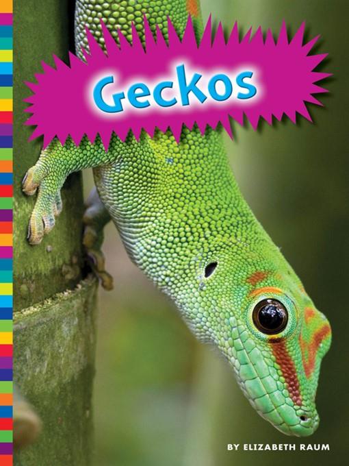 Geckos