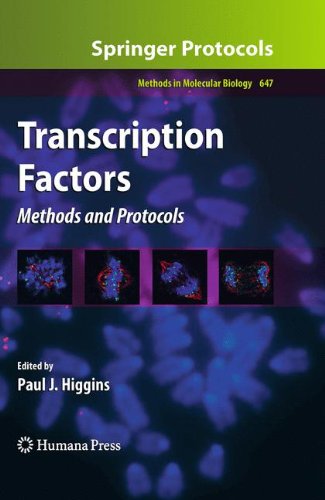 Transcripton Factors