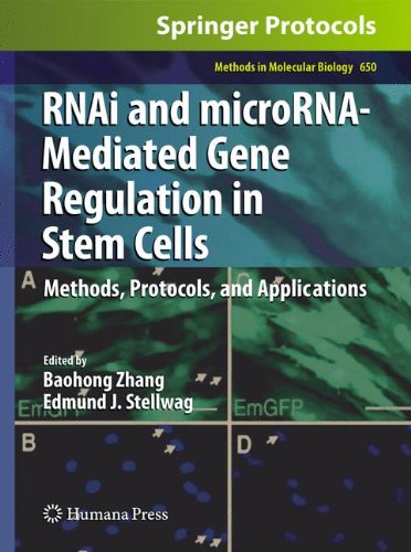 Rn Ai And Micro Rna Mediated Gene Regulation In Stem Cells