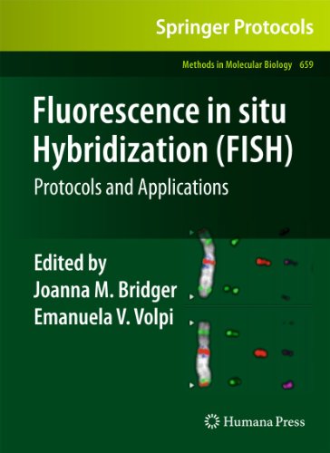 Fluorescence in Situ Hybridization (Fish)