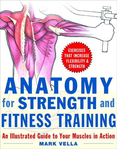 Anatomy for Strength and Fitness Training : An Illustrated Guide to Your Muscles in Action