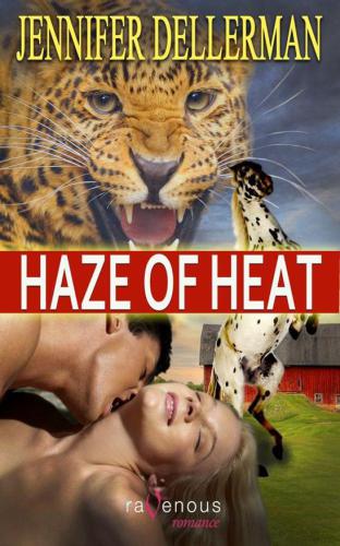 Haze of Heat