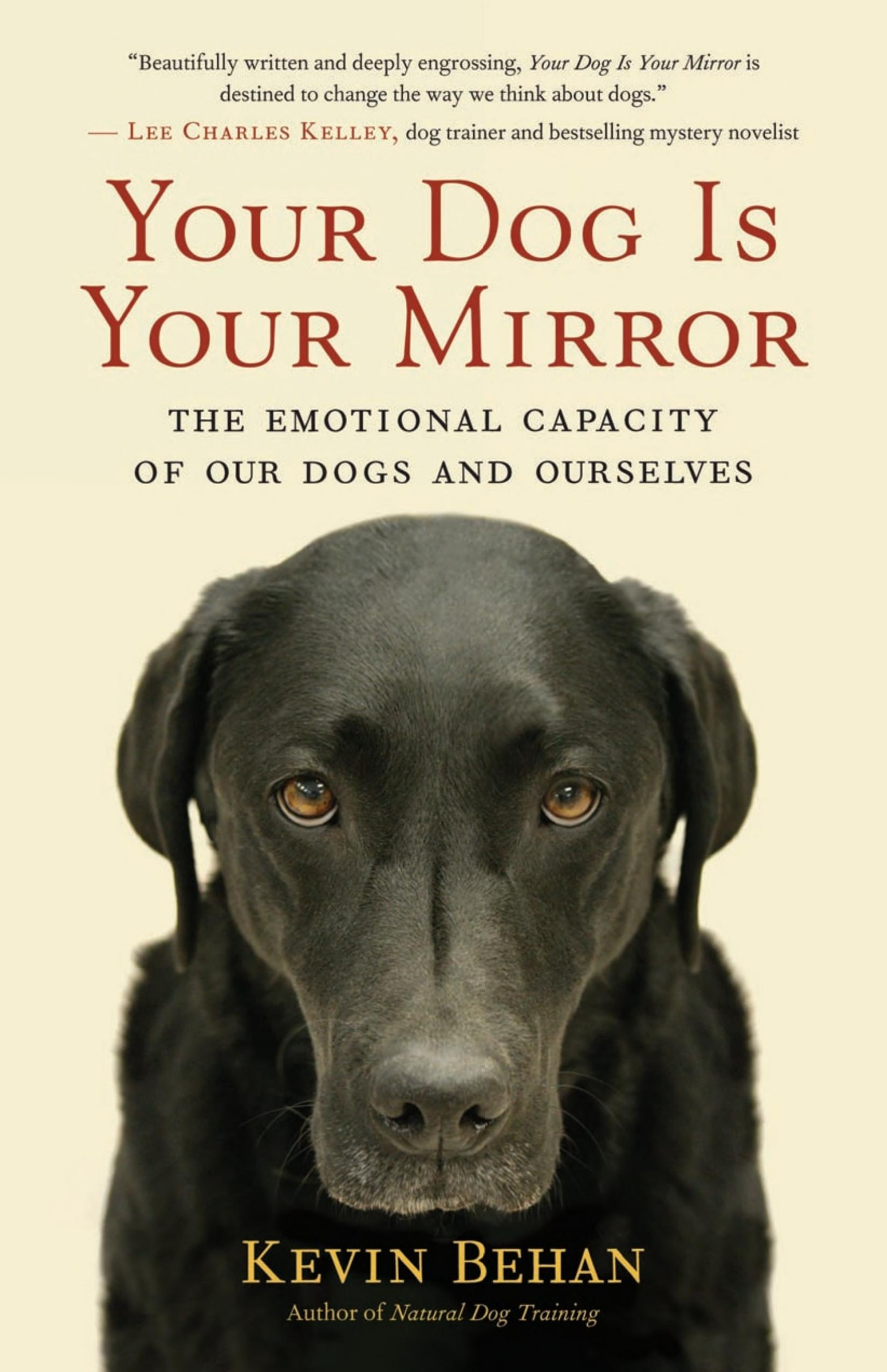 Your Dog Is Your Mirror