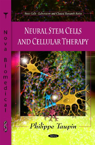 Neural Stem Cells and Cellular Therapy