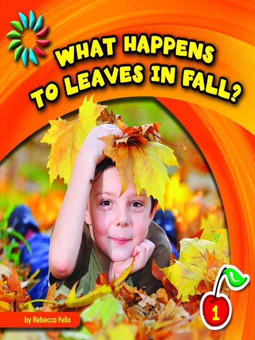 What Happens to Leaves in Fall?