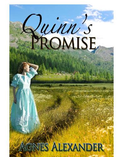 Quinn's Promise