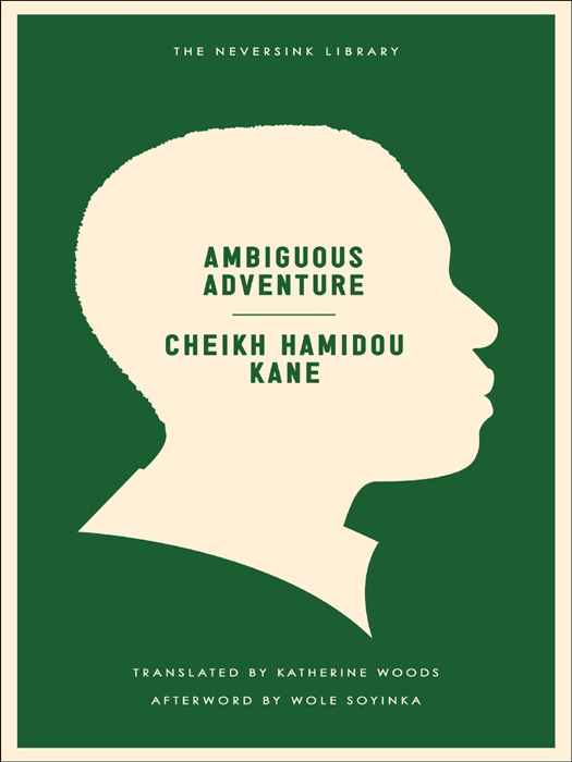 Ambiguous Adventure