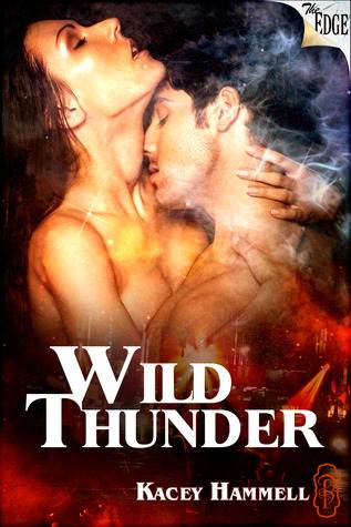 Wild Thunder (In the Arms of the Law Short Story)