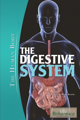 The Digestive System