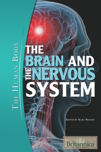 The Brain and the Nervous System