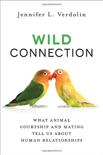 Wild Connection