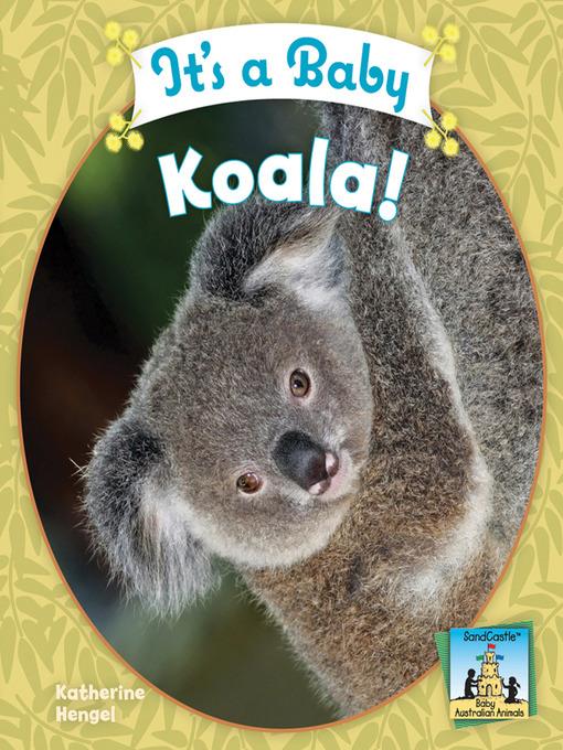 It's a Baby Koala!