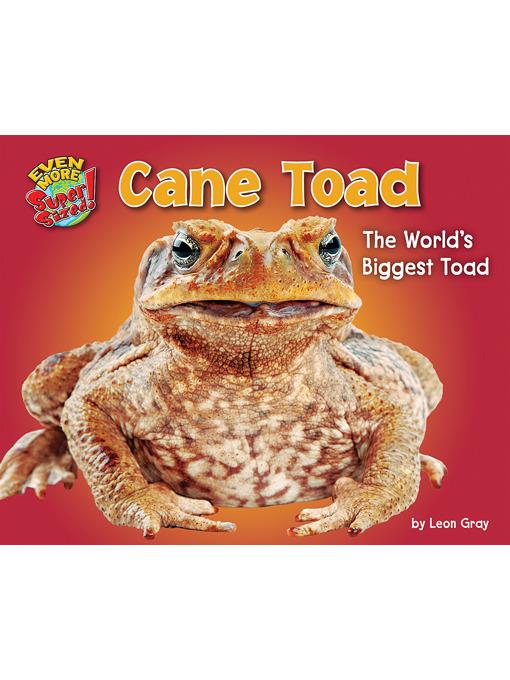 Cane Toad