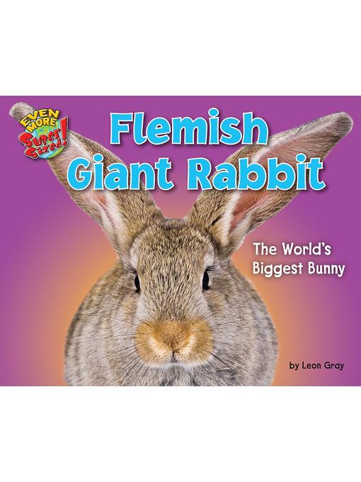 Flemish Giant Rabbit