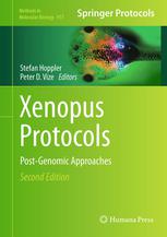 Xenopus Protocols : Post-Genomic Approaches