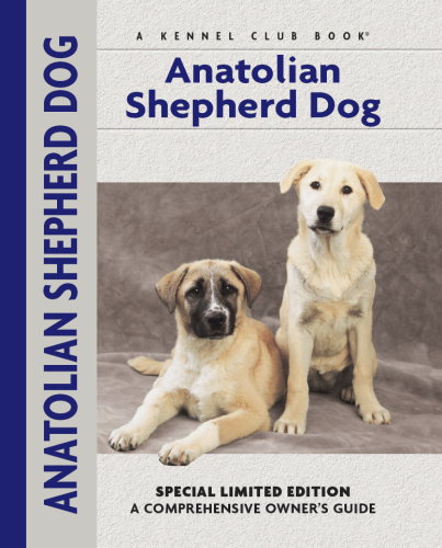 Anatolian Shepherd Dog