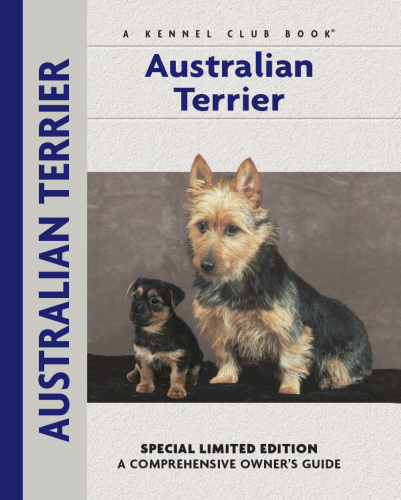 Australian Terrier