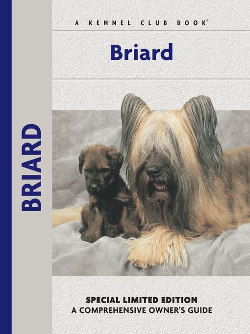 Briard