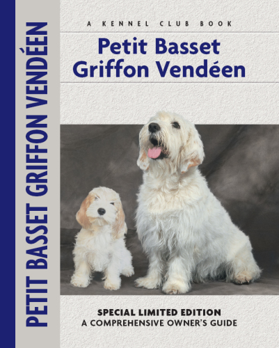 Petit Basset Griffon Vendeen