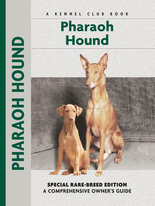 Pharaoh Hound