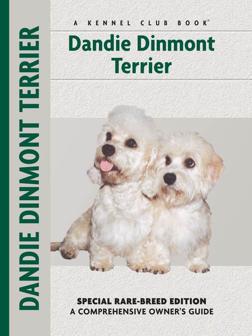 Dandie Dinmont Terrier