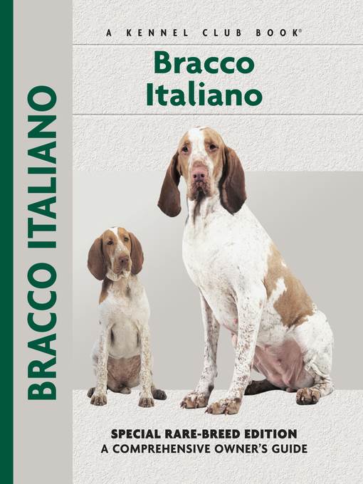 Bracco Italiano