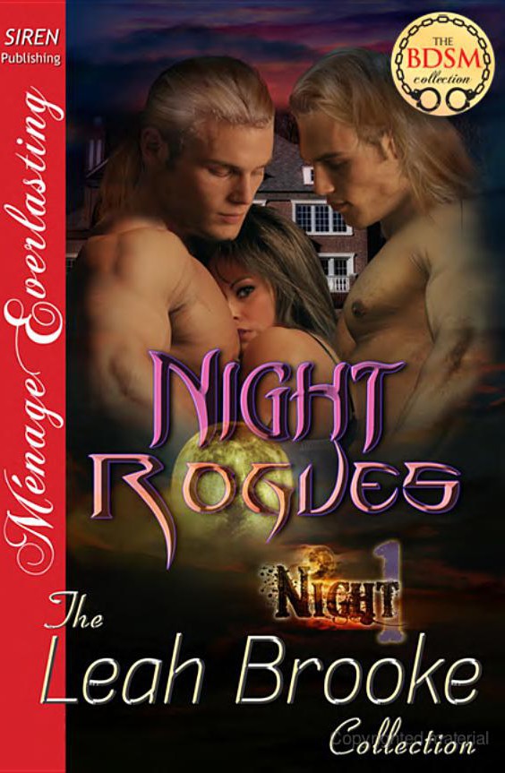 Night Rogues