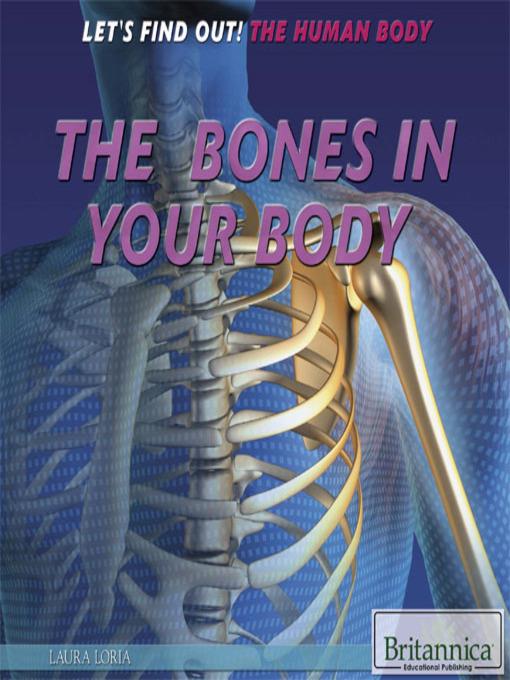 The Bones in Your Body