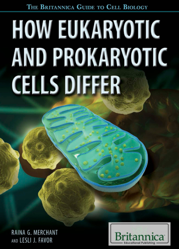 How Eukaryotic and Prokaryotic Cells Differ