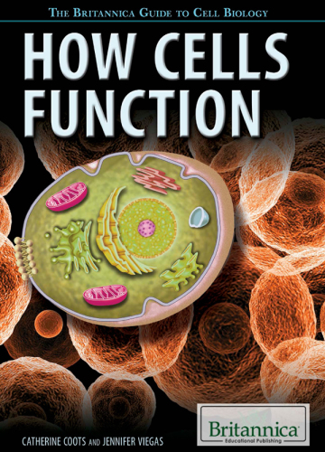 How Cells Function