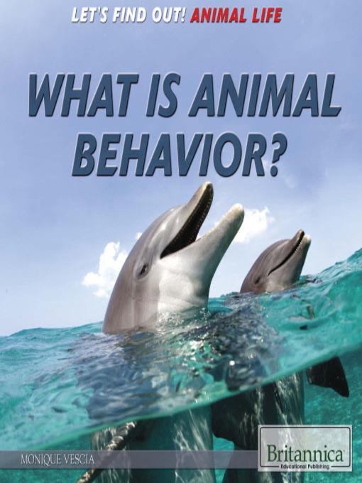 What Is Animal Behavior?