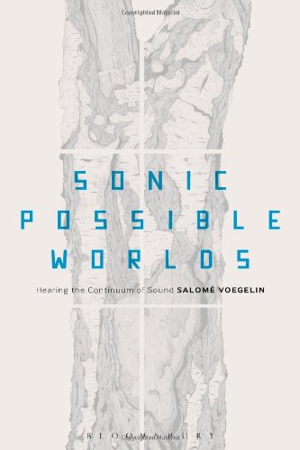 Sonic Possible Worlds