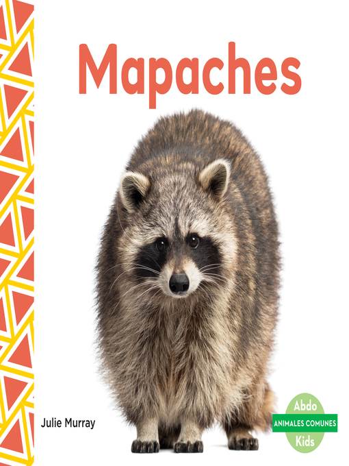 Mapaches (Raccoons)