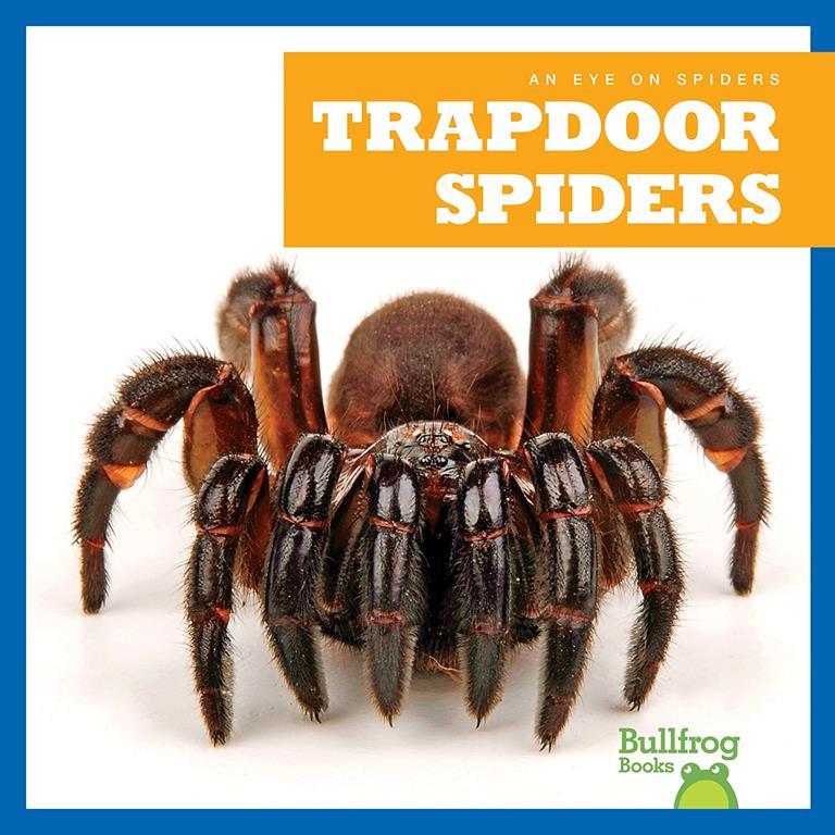 Trapdoor Spiders (Bullfrog Books: An Eye on Spiders)