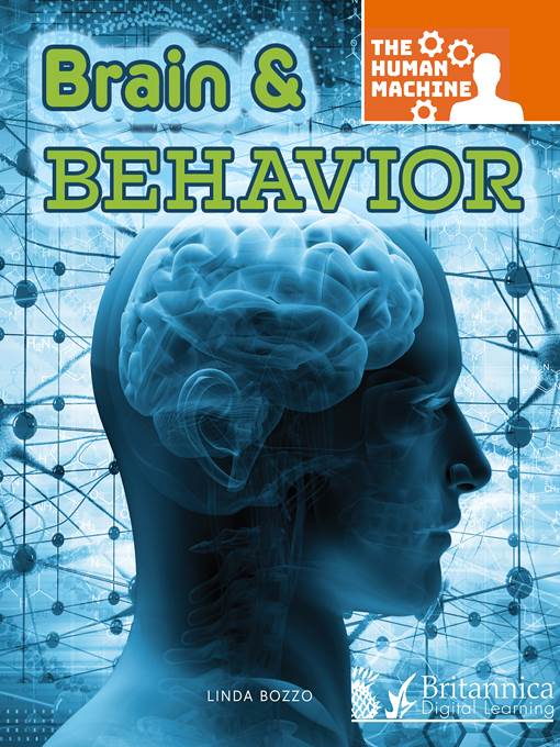 Brain and Behavior