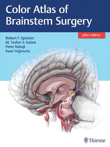 Color Atlas of Brainstem Surgery