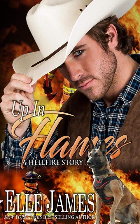 Up In Flames (Hellfire Series)