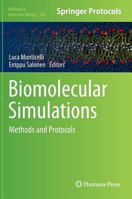 Biomolecular Simulations