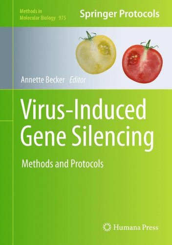 Virus-Induced Gene Silencing