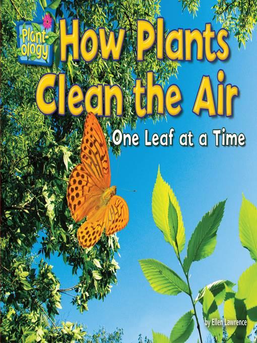 How Plants Clean the Air