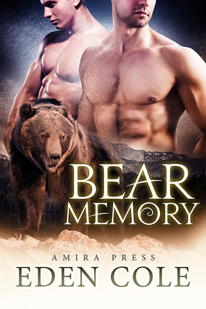 Bear Memory