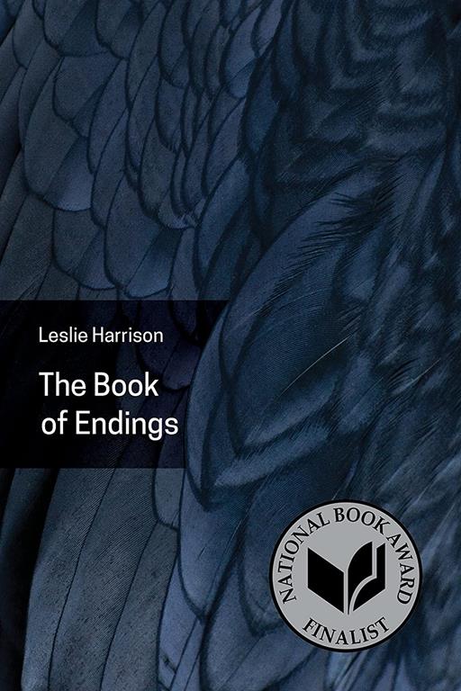 The Book of Endings (Akron series in poetry)