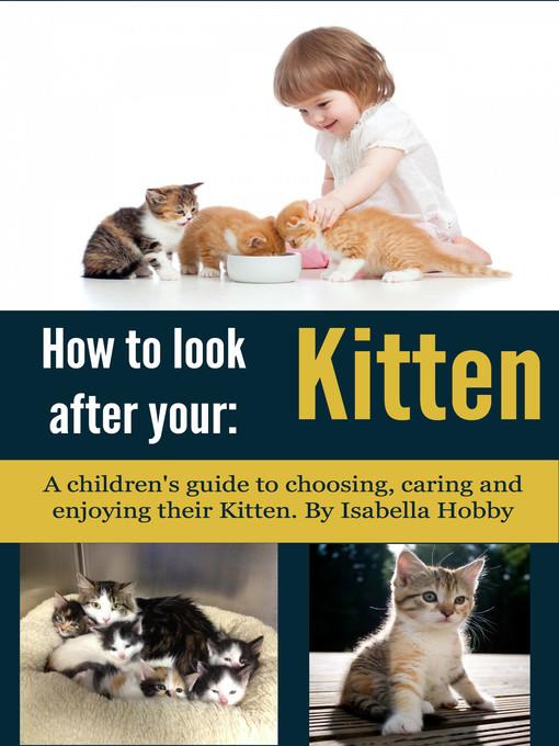 How to Look After Your Kitten