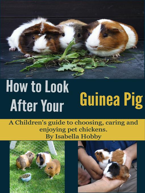 How to Look After Your Guinea Pig