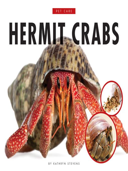 Hermit Crabs