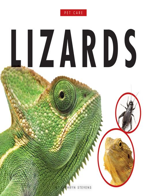 Lizards