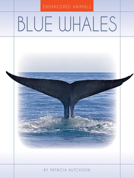 Blue Whales