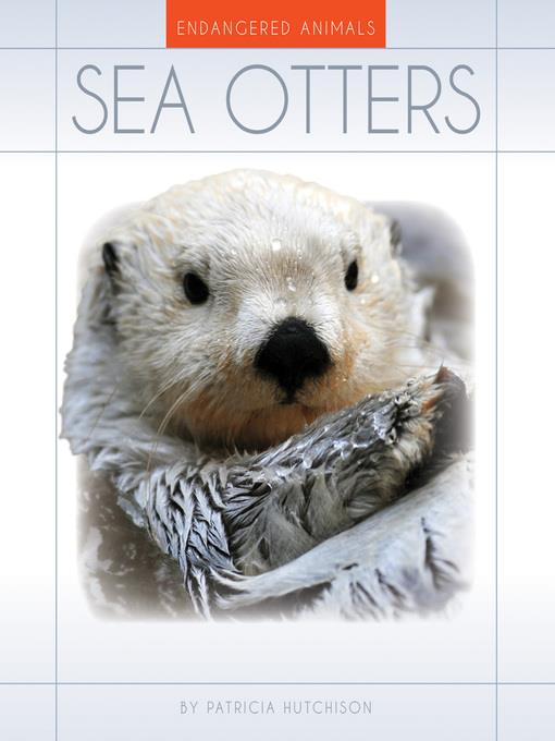 Sea Otters