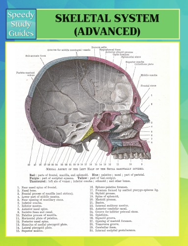 Skeletal System Advanced Speedy Study Guides